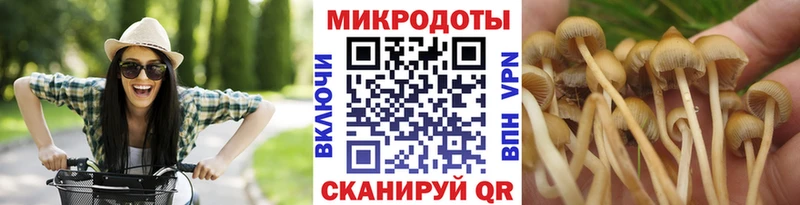 Псилоцибиновые грибы Psilocybe  Купить закладки  Болохово 