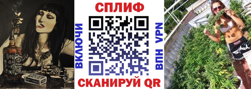 Конопля Ganja  Купить где  Болохово 
